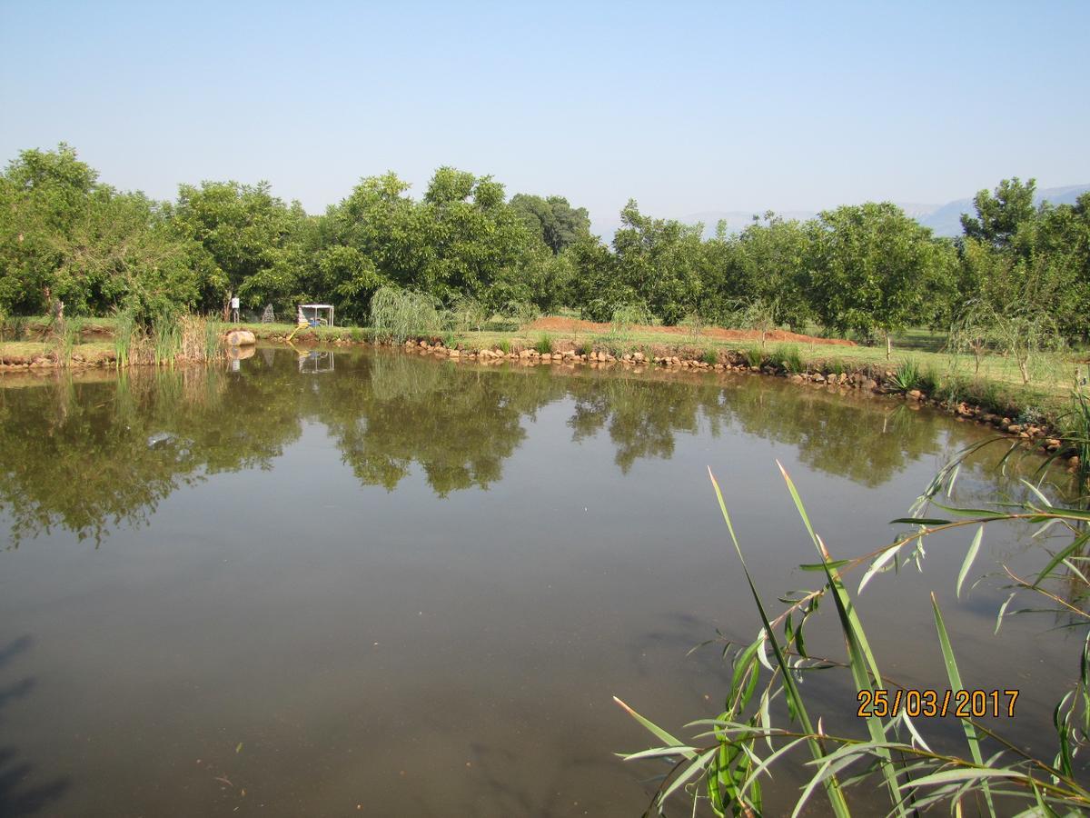 Skeerpoort Millstream Inn Guest House מראה חיצוני תמונה